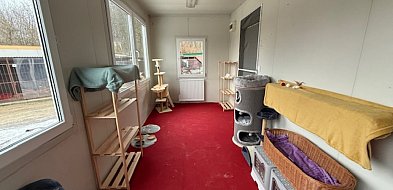 Miasto na nowo organizuje schronisko i wlepia wielką karę byłemu zarządcy