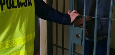 Wpadła złodziejka. Ma aż 18 zarzutów!