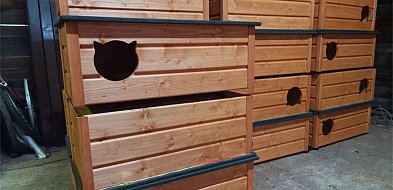 Koty zamieszkają w budkach