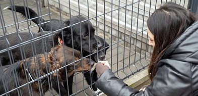 Wolontariusze uczyli się opieki nad zwierzętami