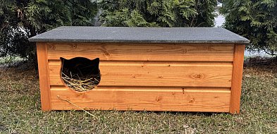 W Bytomiu pojawiły się nowe budki dla wolno żyjących kotów