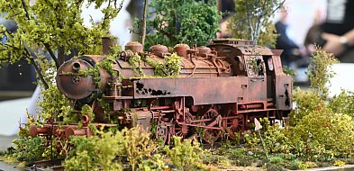 Zredukowany świat wystawiony na pokaz