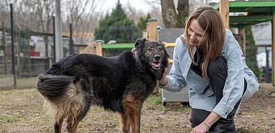 Z korporacji do schroniska dla bezdomnych zwierząt