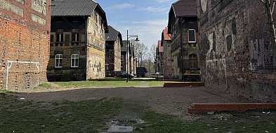 Wspólne sprzątanie Bytomia. Miasto zapewni worki i jednorazowe rękawiczki