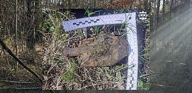 Spacerował po miechowickim lesie. Odnalazł pocisk artyleryjski