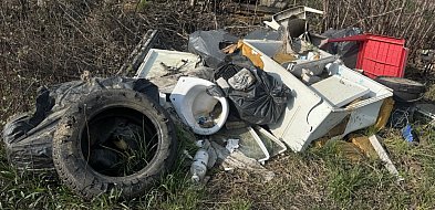 Legalnie i za darmo. Zużyte opony można oddać do PSZOKu