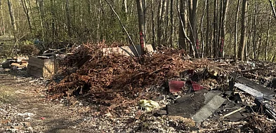 Miasto zleciło wielkie sprzątanie. Firma zebrała ponad 15 ton odpadów