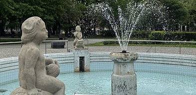 Rzecz o drzewach w mieście. Rusza cykl zielonych spacerów po Bytomiu