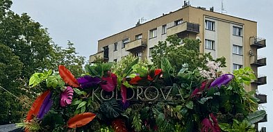 Donos za donosem i na Rynku przestało być kolorowo…