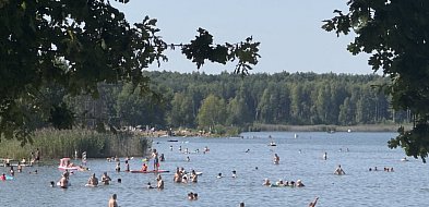 Nie tylko baseny. Bytomianie chętnie wybierają także Chechło i Rogoźnik