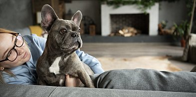 Jak świadomie zaadoptować zwierzę?