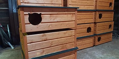 Koty zamieszkają w budkach