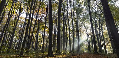 Segiet bardziej dostępny