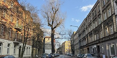 Fragment ul. Piłsudskiego będzie zamknięty dla ruchu. Wyznaczono objazdy