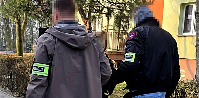 Rozbili gang bezwzględnych handlarzy ludźmi