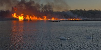 Pożar na terenie Żabich Dołów