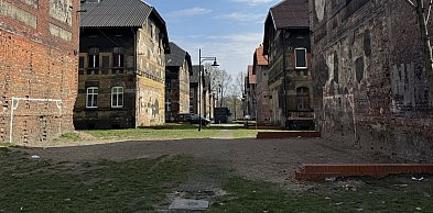 Wspólne sprzątanie Bytomia. Miasto zapewni worki i jednorazowe rękawiczki