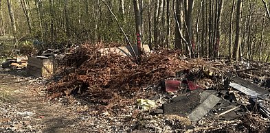 Miasto zleciło wielkie sprzątanie. Firma zebrała ponad 15 ton odpadów