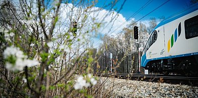 Majówka z Kolejami Śląskimi, czyli specjalna oferta i więcej połączeń