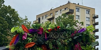 Donos za donosem i na Rynku przestało być kolorowo…