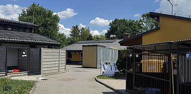 Kierowniczka bytomskiego schroniska rezygnuje ze stanowiska