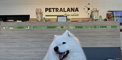 Pieski świętowały swój dzień w PETRALANIE