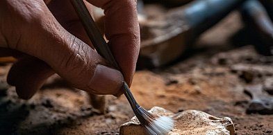 Archeologia dla wszystkich-30356
