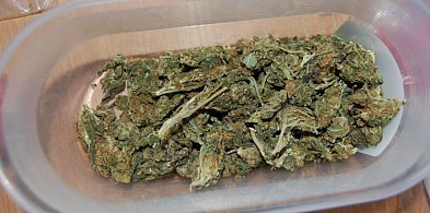 Posiedzi nawet trzy lata za zioło-30911