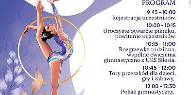 Nie siedź w domu! Przyjdź na piknik gimnastyczny!-31082