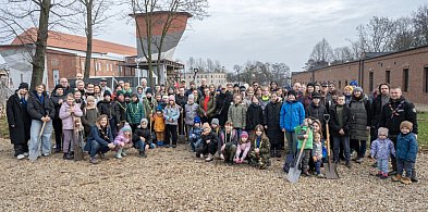 100 drzew na stulecie!-31115