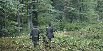 Myśliwi pójdą w las-31190