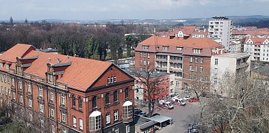 Leczą bez bólu i mają na to certyfikaty-31323