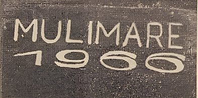 Mulimare i anarchiści z Bytomia-31578