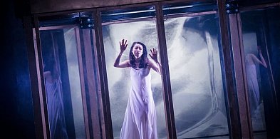 Z Japonii do Bytomia-31900