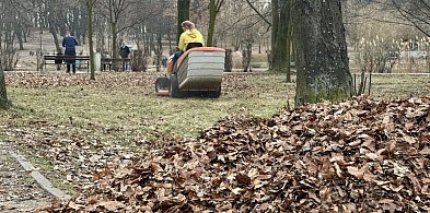 Wiosenne porządki w Parku Kachla. Trwa usuwanie zalegających liści