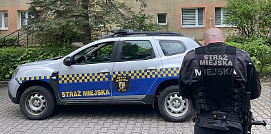 W Bytomiu wzrasta ilość pozytywnych reakcji na działania straży miejskiej