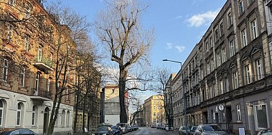 Fragment ul. Piłsudskiego będzie zamknięty dla ruchu. Wyznaczono objazdy