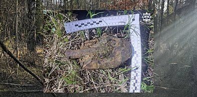 Spacerował po miechowickim lesie. Odnalazł pocisk artyleryjski