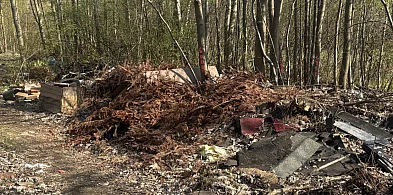 Miasto zleciło wielkie sprzątanie. Firma zebrała ponad 15 ton odpadów