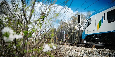 Majówka z Kolejami Śląskimi, czyli specjalna oferta i więcej połączeń