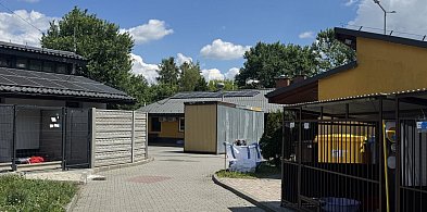 Kierowniczka bytomskiego schroniska rezygnuje ze stanowiska