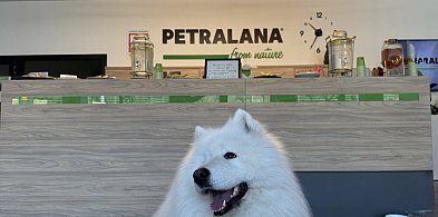 Pieski świętowały swój dzień w PETRALANIE
