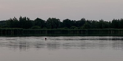 Kąpiel na Żabich Dołach