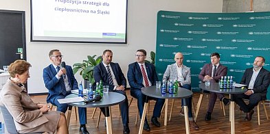 Rozmawiali o przyszłości ciepłownictwa w świecie bez wę