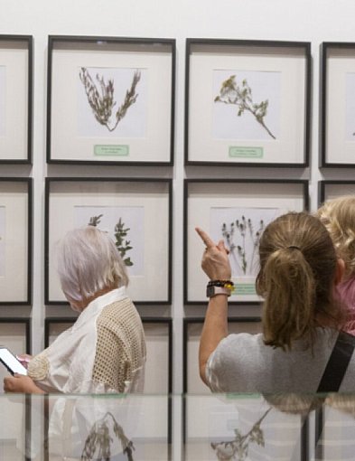 Leczyli nas znachorzy i... kaci-30830