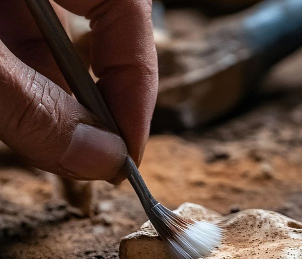 Archeologia dla wszystkich-30356