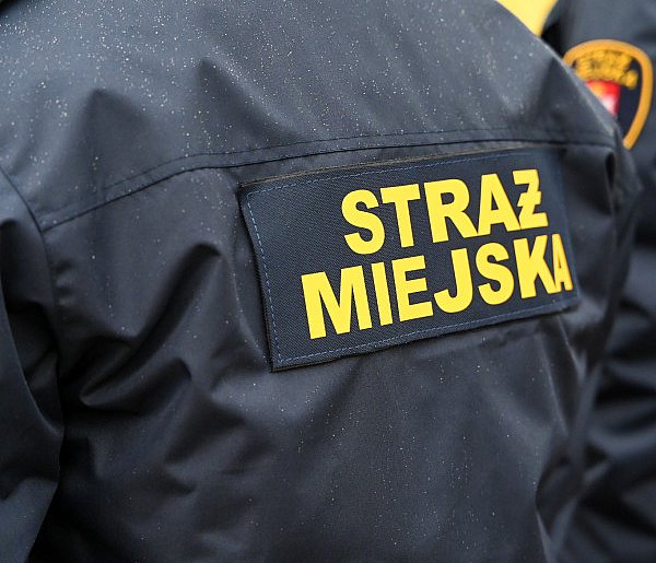 Zapuka strażnik, zapłacisz karę. Ruszyły kontrole w całej Polsce-30482