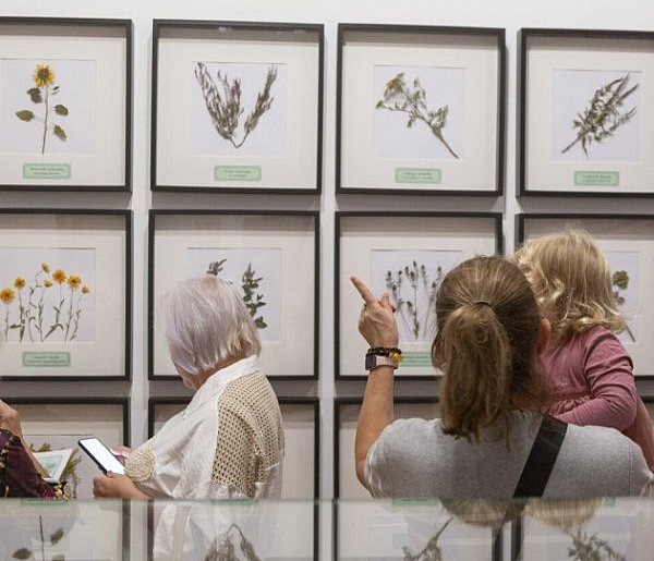 Leczyli nas znachorzy i... kaci-30830