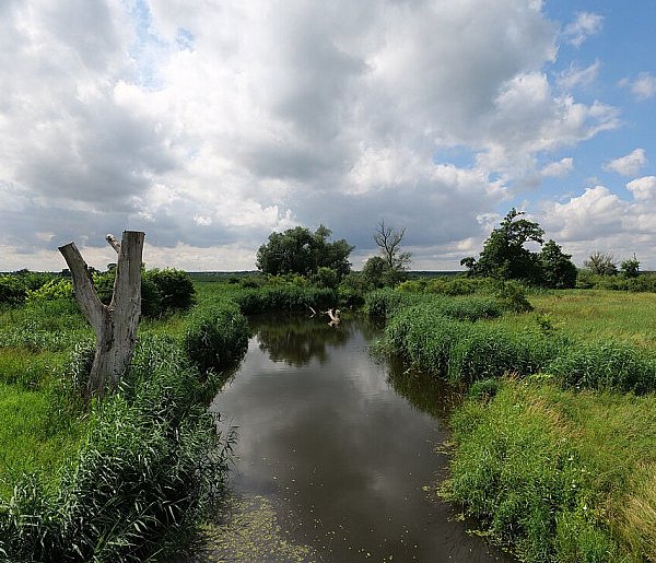 Co dalej z nowym parkiem narodowym? Minister klimatu zdradza plan po wecie-31060