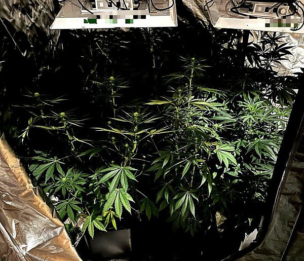 Prowadził samochód po pijanemu, w domu miał narkotyki-31746